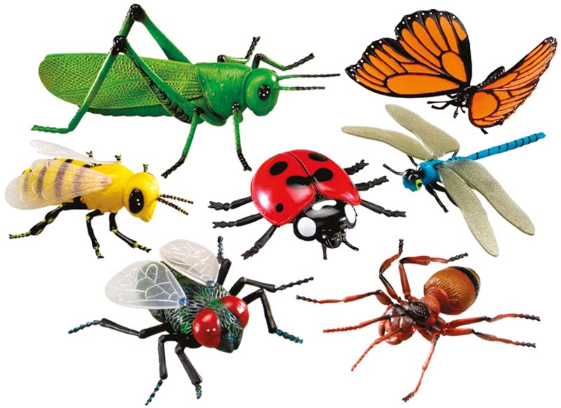 Scherm Begunstigde Schaduw Speelgoed figuren - Learning Resources - insecten - jumbo - set van 7  assorti - Baert
