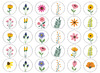 Stickers - op rol - Apli - wilde bloemen - 20 mm - set van 900 assorti